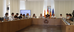 El Consell Rector de Festes avala el programa d'actes en honor a la Mare de Du de Grcia