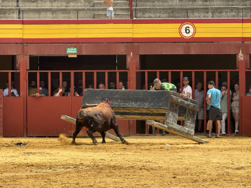 Fotografia /Galeria/2025/8/248514_159971/3_M1.jpg