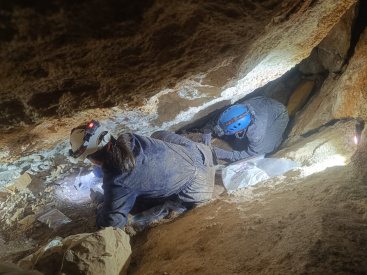 Fotografia /Galeria/2025/9/248599_160026/2_M1.jpg