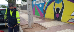 Concejalia de Salud Pblica refuerza tratamiento contra mosquitos en colegios e institutos