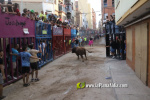 Empez? la semana taurina de las Fiestas de Alcora con tres cerriles