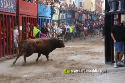 Empezó la semana taurina de las Fiestas de Alcora con tres cerriles