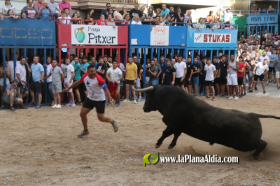 Fotografia /Galeria/2025/9/248644_160059/2_M1.jpg