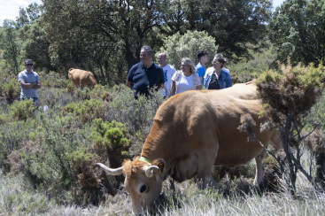 La Diputación establecerá la hoja de ruta para relanzar la economía, la competitividad y la resiliencia de Castellón con el Plan Futur Provincia