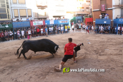 Fotografia /Galeria/2025/9/248684_160088/2_M1.jpg