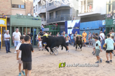 Fotografia /Galeria/2025/9/248684_160088/3_M1.jpg