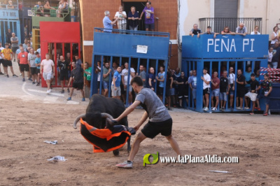 Fotografia /Galeria/2025/9/248684_160088/4_M1.jpg