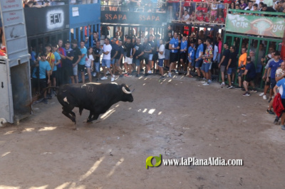 Fotografia /Galeria/2025/9/248684_160088/6_M1.jpg