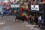 Fotografia /Galeria/2025/9/248684_160088/7_M1.jpg