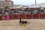 El alcorino Ian Bermejo vence en la novillada de Fiestas del Cristo de Alcora con dos orejas y rabo