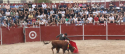 el-alcorino-ian-bermejo-vence-en-la-novillada-de-fiestas-del-cristo-de-alcora-con-dos-orejas-y-rabo