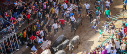 Onda consigue la distincin de la Fira como Fiesta de Inters Turstico Autonmico