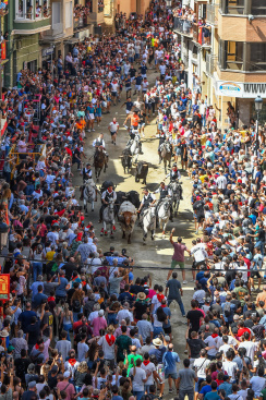 Tercera jornada de la Entrada de Toros y Caballos en Segorbe