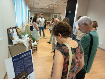 Fotografia /Galeria/2025/9/249468_160657/4_M1.jpg