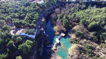 El Consorci del Paisatge protegit del Millars actua sobre cinc arbres afectan propietats privades a Vila-real