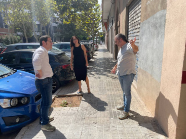 Compromís reclama la plantación de árboles en los alcorques vacíos de la calle Músic Perfecte Artola