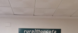 Rcord de participacin en el Circuito de Carreras Populares de Moncofa