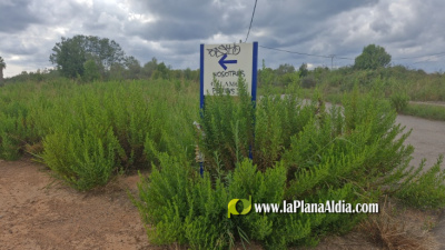 Golf Sant Gregori vuelve a la 'casilla de inicio'