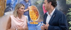 La Diputacin de Castelln garantiza la seal de televisin en el interior de la provincia