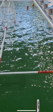 Denuncien el mal estat de l'aigua en piscina de Castell impedeix participaci en torneig de waterpolo