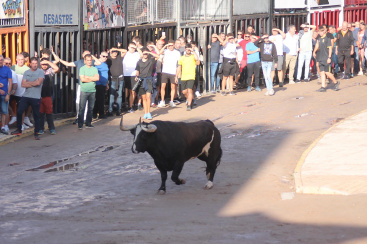 Almenara retoma las exhibiciones taurinas con toros de El Cortijillo y Alcurrucén