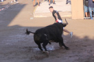 Fotografia /Galeria/2025/9/250043_161075/2_M1.jpg