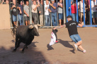 Fotografia /Galeria/2025/9/250043_161075/3_M1.jpg