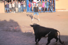 Fotografia /Galeria/2025/9/250043_161075/4_M1.jpg