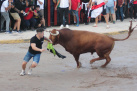 Fotografia /Galeria/2025/9/250043_161075/8_M1.jpg