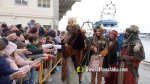 Borriana celebra una vesprada m?gica amb la Cavalcada dels Reis Mags d'Orient