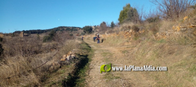 Benassal refuerza el desbroce y el mantenimiento de caminos y barrancos con el apoyo de EMERGE y TRAGSA
