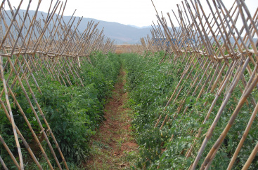 Fotografia /Galeria/2026/1/255157_164969/2_M1.jpg