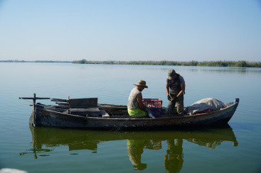 Fotografia /Galeria/2026/1/255171_164978/3_M1.jpg