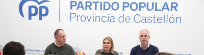 Barrachina reuneix als parlamentaris per a defensar Castell� davant del Govern de S�nchez
