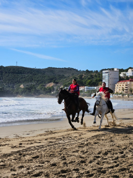 Oropesa del Mar celebra Sant Antoni 2026 con un completo programa de actos tradicionales y festivos