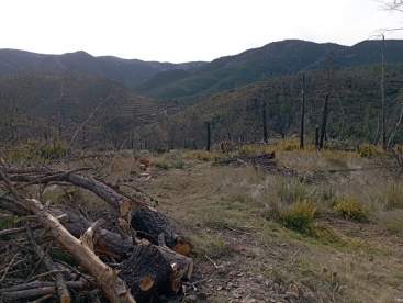 Mont�n refuerza su territorio innovador con la adecuaci�n de la ruta Paseo del Fraile
