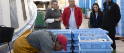 La Diputaci�n de Castell�n defiende a los pescadores y exigir� al Gobierno de Espa�a eliminar las cargas burocr�ticas que dificultan la labor de la flota de bajura