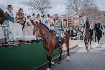 Castell�n celebra Sant Antoni con procesi�n adaptada, bendici�n de animales y reparto de cintas conmemorativas