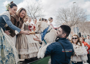 Fotografia /Galeria/2026/1/255426_165167/2_M1.jpg