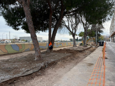 Fotografia /Galeria/2026/1/255506_165216/3_M1.jpg