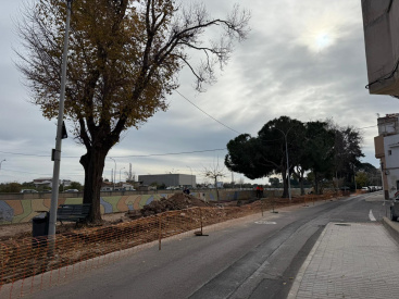 Fotografia /Galeria/2026/1/255506_165216/4_M1.jpg