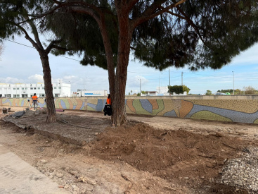 Fotografia /Galeria/2026/1/255506_165216/5_M1.jpg