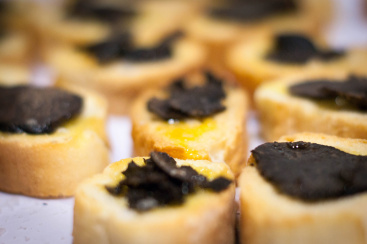 Las XXIII Jornadas de la Trufa Morella-Els Ports comienzan con una gran fiesta y se prolongar�n hasta el 15 de marzo