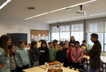 Vila-real reparte 2.500 kg de fruta de km 0 entre 3.751 escolares en 15 centros educativos