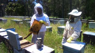 La UNIO reclama mantener la atenci�n presencial ante la obligatoriedad telem�tica del censo ganadero