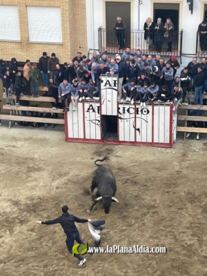 Fotografia /Galeria/2026/1/255818_165430/3_M1.jpg