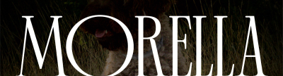 Morella Negra se presenta como la Trufa: un festival que fusiona misterio, trufa y novela negra