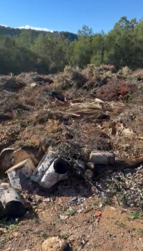 Fotografia /Galeria/2026/1/255949_165531/2_M1.jpg