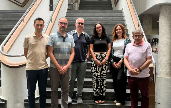 IA de UPV y UV identifica con alta precisión el sarcoma de Ewing y optimiza biopsias