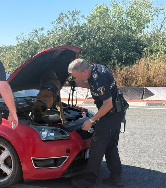 Burriana detiene a un sospechoso por tráfico de drogas tras incautar 55 gramos de cocaína y cerca de 3.000 euros